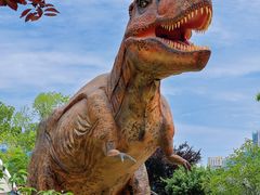 -海合安武汉极地海洋公园