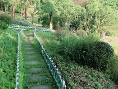 -铁山坪森林公园