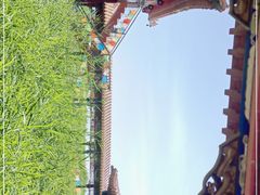 -哈素海