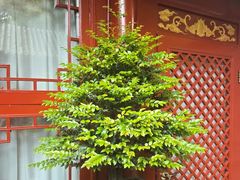 -程府宴(南长街四合院店)