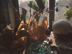 -不舍昼夜咖啡馆