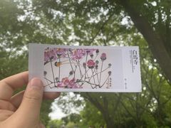-洛阳白马寺
