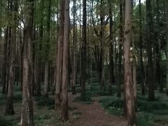-渤公岛生态公园