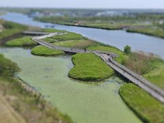 -春花秋色城市公园