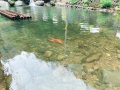 -白云源风景区