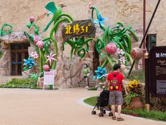 -苏州乐园森林水世界