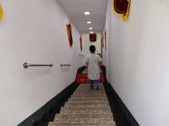 -美联众合动物医院(·中兽医·疑难杂症·严家桥分院)