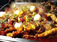 -鱼酷活鱼烤鱼(昆明路店)