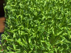 -湊湊火锅·茶憩(南京东路悦荟店)