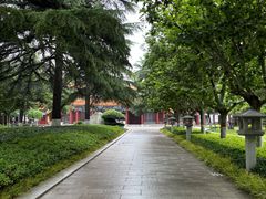-渭滨公园