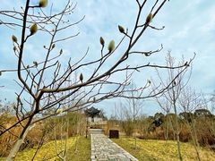 -广富林郊野公园