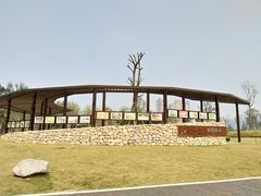 -府河摄影公园