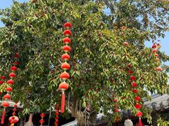 -顺德了能馆(虎门店)