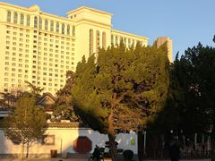 -西苑公园