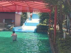 -杭州浪浪浪水公园