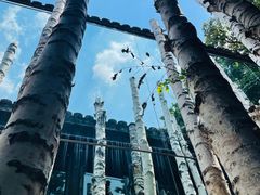 -Metal hands·铁手咖啡