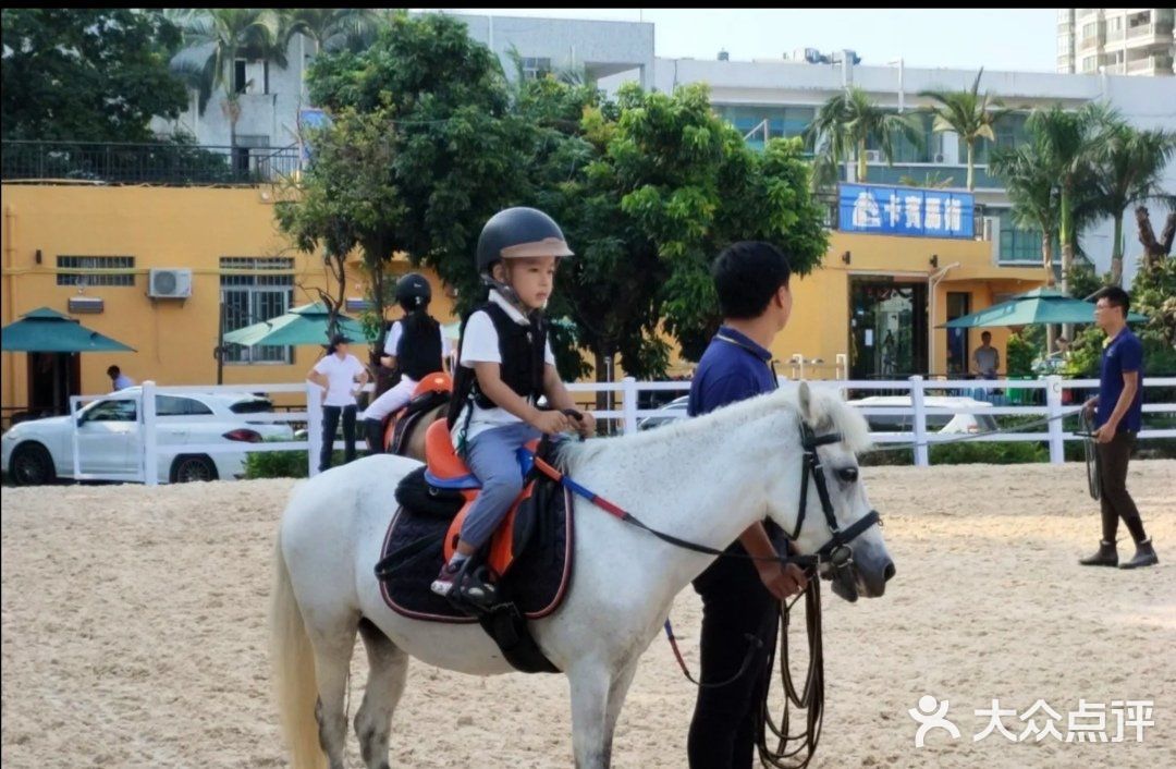 可是今天告诉大家，娃娃也可以培养马术的呢！