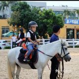 可是今天告诉大家，娃娃也可以培养马术的呢！