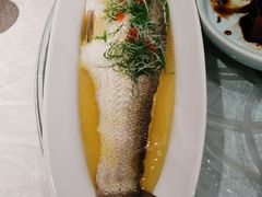 -金枝玉叶上海人家食府(三里河店)