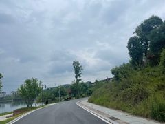 -枫香湖儿童公园