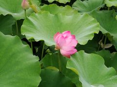 -75幢私房菜馆