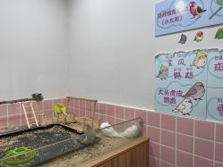 -Moni星球萌宠·小马宝莉·灵蛇·高端高阶全萌宠互动体验俱乐部(红豆国际广场店)