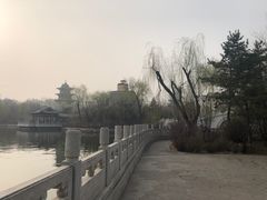 -迎泽公园