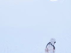 -棋盘山冰雪大世界