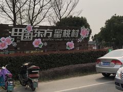 -田园东方蜜桃村的田野营地