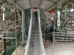 -九龙江国家森林公园