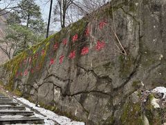 -西安祥峪森林公园