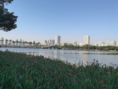 -南宁南湖公园