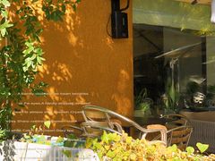 -三里屯东五街银杏大道