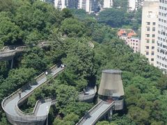 -福道
