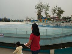 -秦皇岛乐岛海洋王国