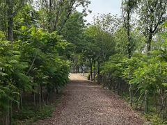 -西青郊野公园