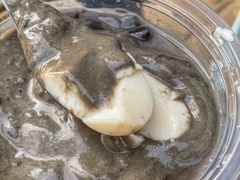 -钟姨糖水(惠城店)