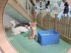 -藦茜花园宠物主题亲子互动体验馆(国顺东路店)