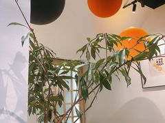 -桂筱葵螺蛳鸭脚(文化宫店)