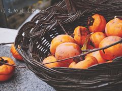 柿子-南窖乡水峪村山情农家