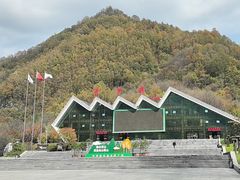 -牛背梁国家森林公园