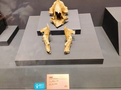 -贵州省博物馆(新馆)