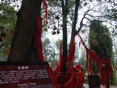 -乌镇西栅景区-月老庙