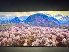 -罗红摄影艺术馆