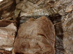 -老马粉蒸肉(西塘古镇店)