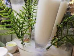 -探窝·竹笙椰子鸡(杨箕店)