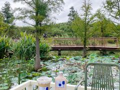 -同里国家湿地公园