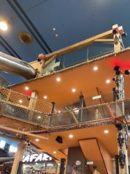 -卡通尼·Safari非洲探索乐园·生日会(金桥国际商业广场店)