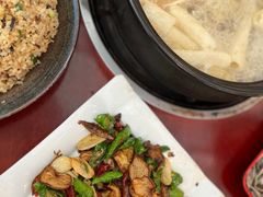 -蘑统田下·野生菌火锅