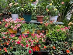 -山水茶艺馆·点心粤菜·30年老字号